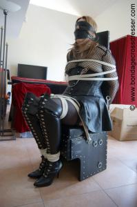 xsiteability.com - Chairtied in Leather thumbnail
