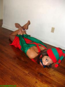 xsiteability.com - Holly Wood for Christmas! New 12/28/16 thumbnail