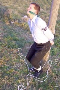 xsiteability.com - In the Field by Fidelis thumbnail