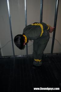 xsiteability.com - Janitor thumbnail