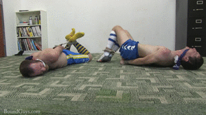 xsiteability.com - Blue Team Hog Tied thumbnail