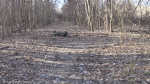 xsiteability.com - War Games thumbnail