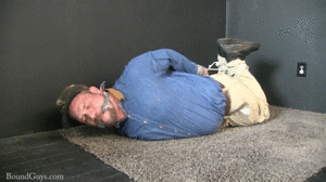xsiteability.com - Bear in Blue thumbnail