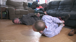 xsiteability.com - Business Friendly Hog Tie thumbnail