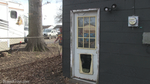 xsiteability.com - Uninvited Guest thumbnail