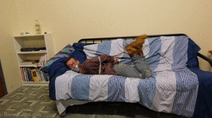 xsiteability.com - Hog Tied and Helpless thumbnail