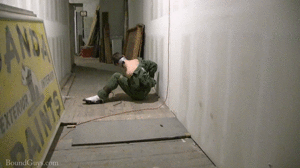 xsiteability.com - Down the Hall thumbnail