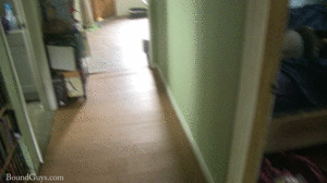 xsiteability.com - Sneaking In thumbnail