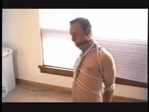 xsiteability.com - The House Boi thumbnail