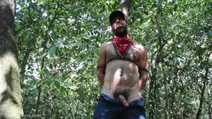 xsiteability.com - A Day at the Park thumbnail