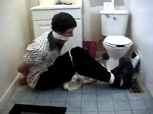 xsiteability.com - Party Pooper by SoftTouch thumbnail