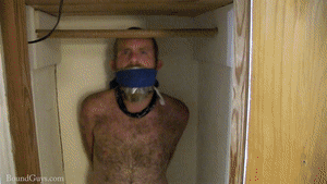 xsiteability.com - Body Pillow thumbnail