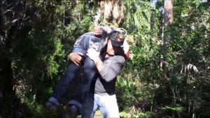 xsiteability.com - 0965 Brutally Taken thumbnail