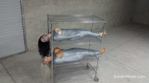 xsiteability.com - Mummified MILFs, Stacked, Racked and Ready for Delivery! thumbnail