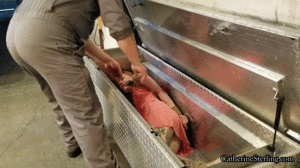 xsiteability.com -  0045 Severe Elbows Together Hogtie! thumbnail