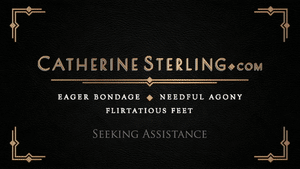xsiteability.com - 0279 Seeking Assistance thumbnail