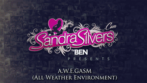 xsiteability.com - 0287 A.W.E.GASM (All Weather Environment) thumbnail