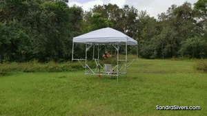 xsiteability.com - 0320 Flying Orgasms for Cat, from Sandra Silvers! thumbnail