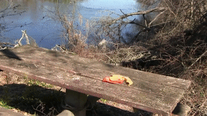 xsiteability.com - Riverside Huge Orange Blow & Bite to Pop thumbnail