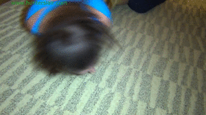 xsiteability.com - Jerked up into a brutal hogtie thumbnail