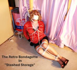 xsiteability.com - Chapter 4: "Stashed Storage" - Slideshow/Photo Set - April 10 thumbnail