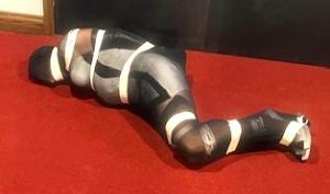 xsiteability.com - "Nylon Sacked", Part III - Tiffany Fine - Photo Set - May 12 thumbnail
