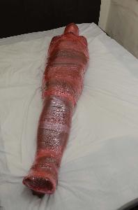 xsiteability.com - Extreme Mummification thumbnail