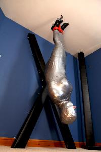 xsiteability.com - suspension and mummification thumbnail