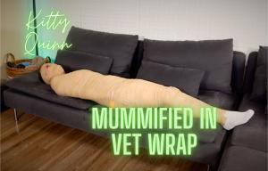 xsiteability.com - Kitty Quinn... Mummified In Vet Wrap thumbnail