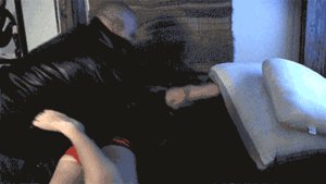 xsiteability.com - Madalynn Raye in Dragged From the Bed thumbnail
