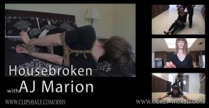 xsiteability.com - AJ Marion in Housebroken thumbnail