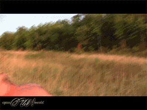 xsiteability.com - Jasmine Valley in Redneck thumbnail