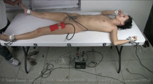 xsiteability.com - R. Phoenix Electrified part 7 of  8 thumbnail