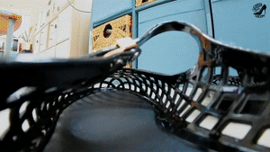xsiteability.com - Trapped in Flats thumbnail