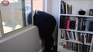 xsiteability.com - 2044. Olivia Jaide Gets Stuck in Window thumbnail