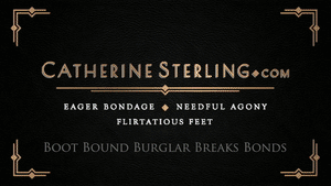 xsiteability.com - Catherine Sterling Burglar Interrupted! thumbnail