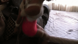 xsiteability.com - gorgeous stripper girl FiFi brutally tied up hogtied and gagged in a pervs shack thumbnail