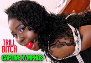 xsiteability.com - Black Glitter ebony bondage girl with big tits tied up with rope  ball gagged thumbnail