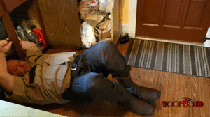 xsiteability.com - Sheriff's Dilemma thumbnail