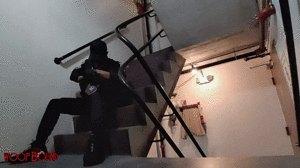 xsiteability.com - Stairway Laughter thumbnail